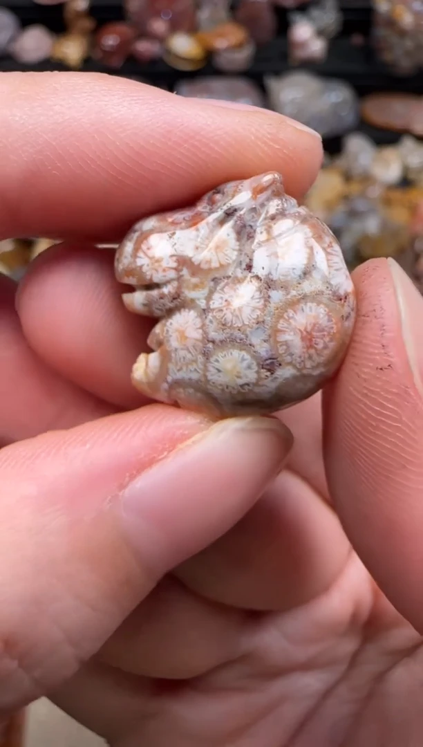 硅化珊瑚（珊瑚玉）未镶嵌颈饰383
