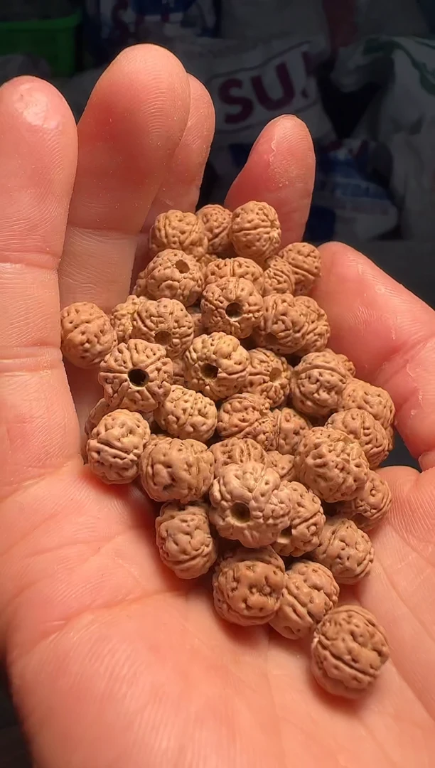 手串金刚菩提1非全品老树王散籽9-10mm一份一百颗
