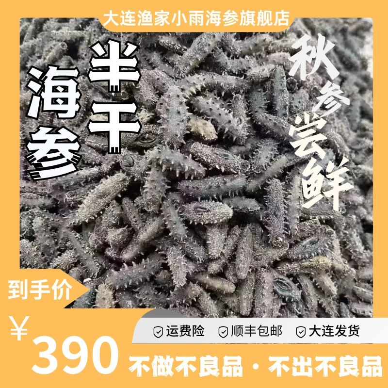 【自家海域】25-40头大火半干海参1斤泡发4斤 拉缸盐海参 大连发货