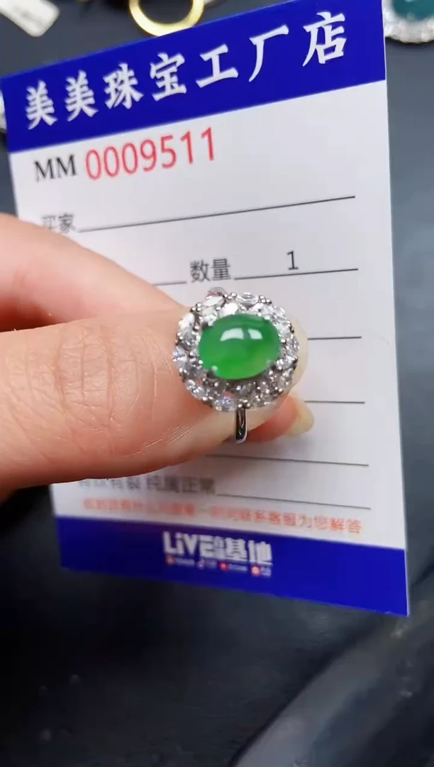 翡翠银S925镶嵌颈饰9511