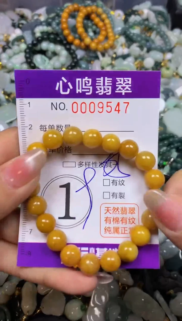 【闪购商品】翡翠颈饰未镶嵌闪购009547