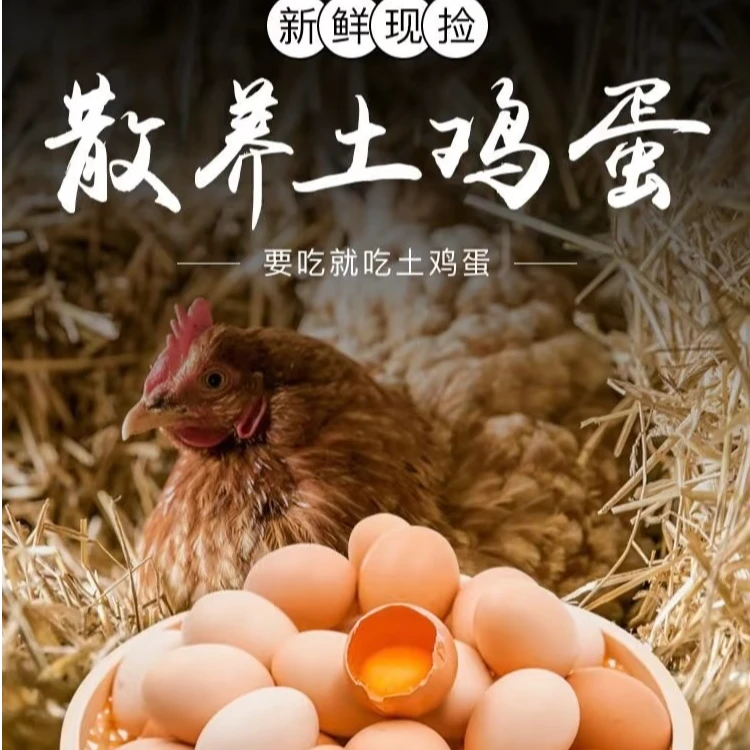 【正宗鸡蛋】山林散养新鲜土鸡蛋营养健康适合月子早餐40-50克左右