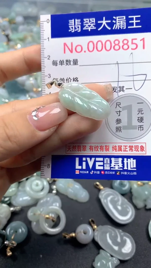 颈饰未镶嵌翡翠8851