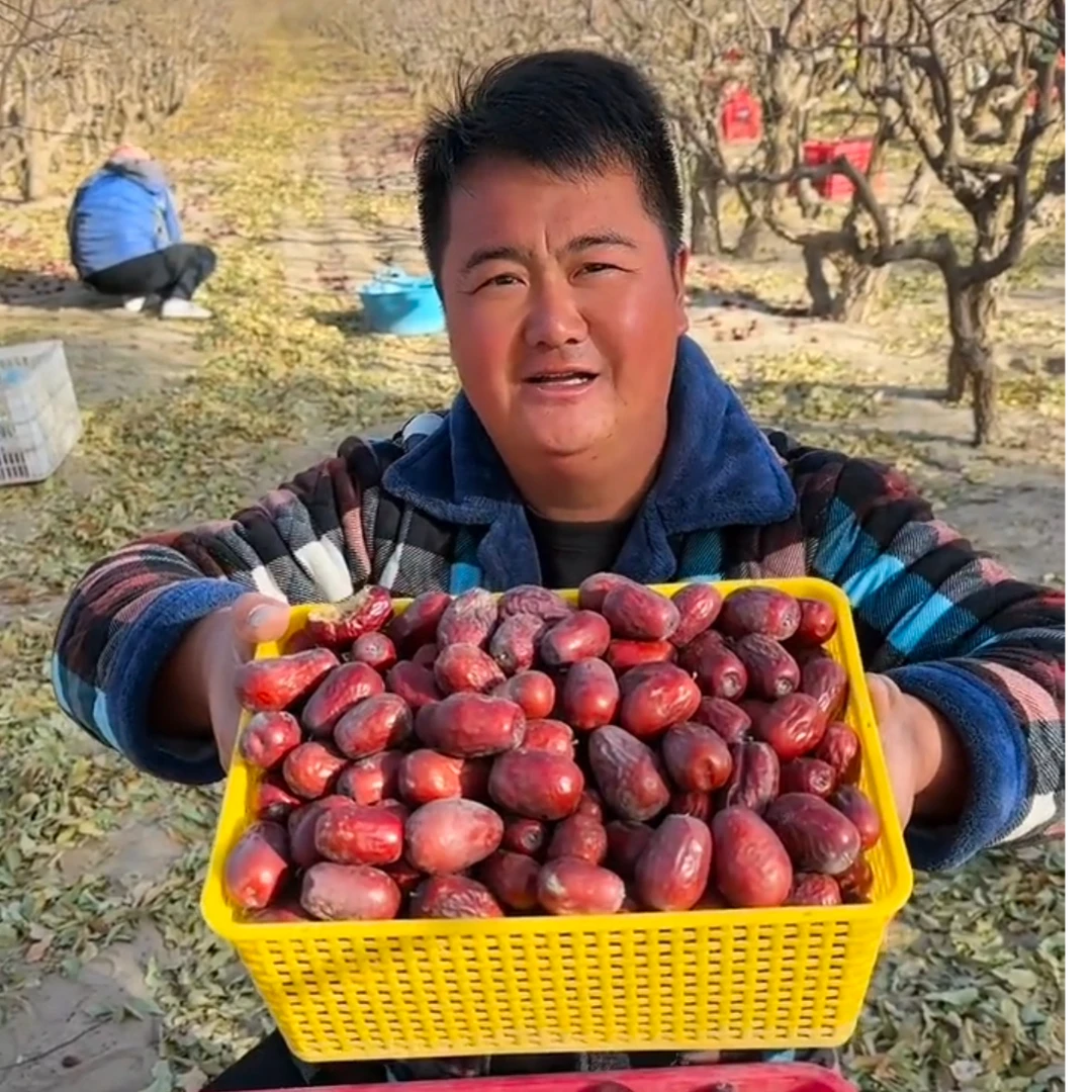 2025年新下树新疆和田大枣2斤5斤产地包邮（9-10成干）