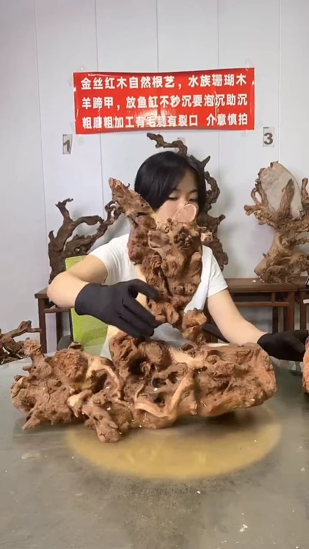 香榧木大*金丝红木   羊蹄甲