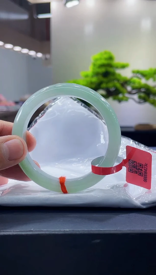 未镶嵌手镯翡翠2