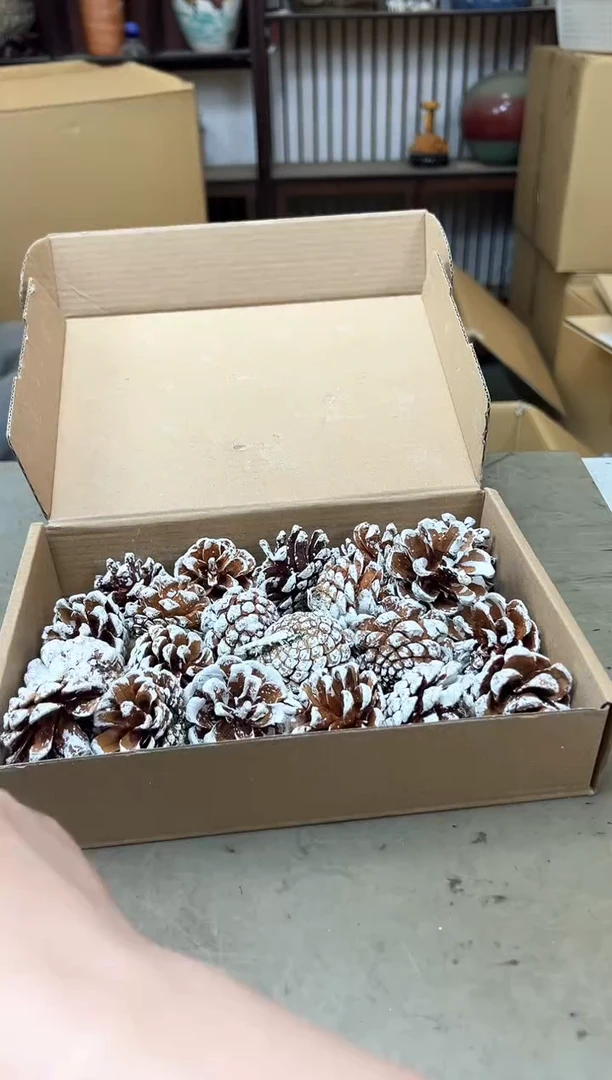 瓷片403聚宝缘海淘精选