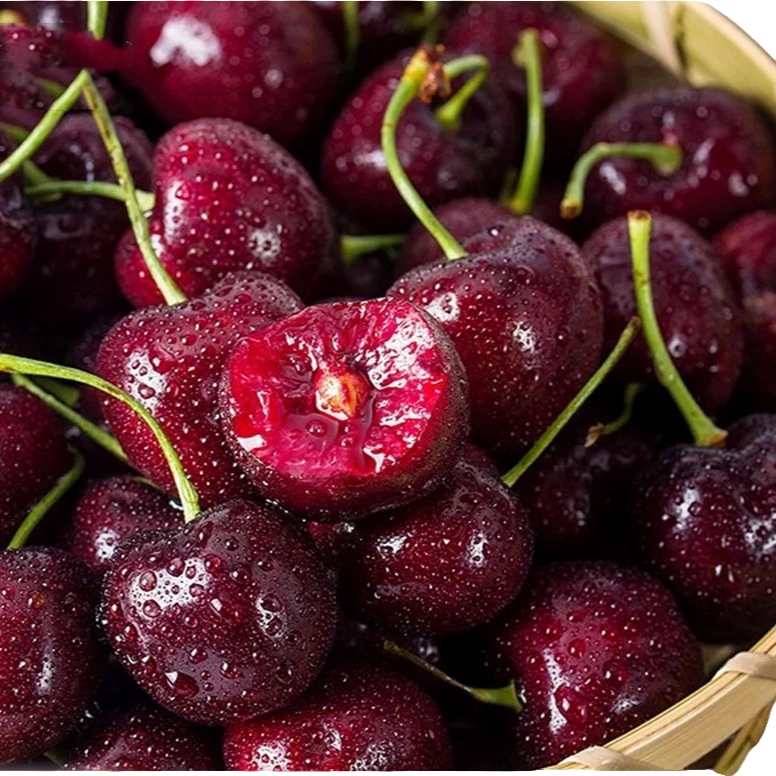 【车厘子净重5斤单J/原装/礼盒装】现货智利进口瑞吉纳车厘子 坏果烂果包赔