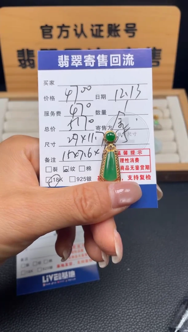 颈饰18K金镶嵌翡翠10151744