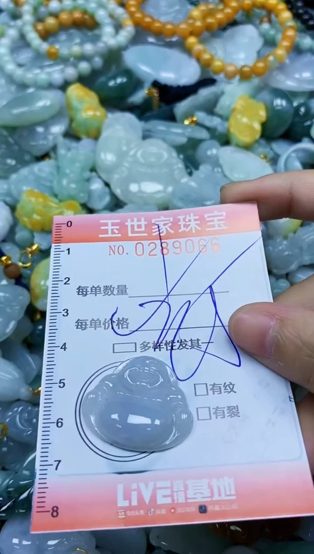 翡翠未镶嵌颈饰闪购0289066多样性发其一