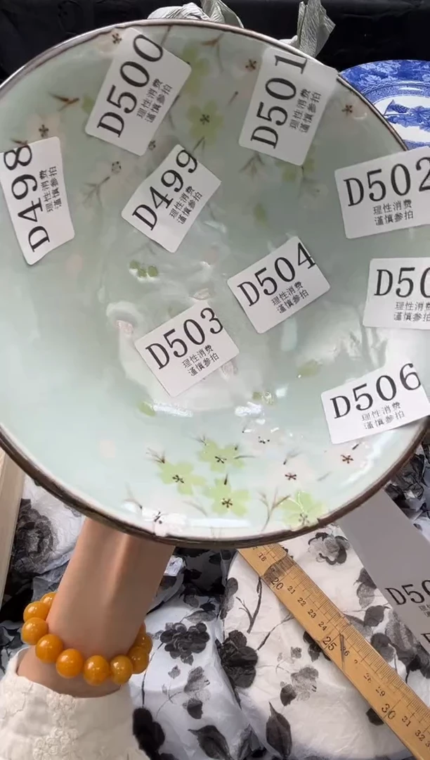 瓷片       D499