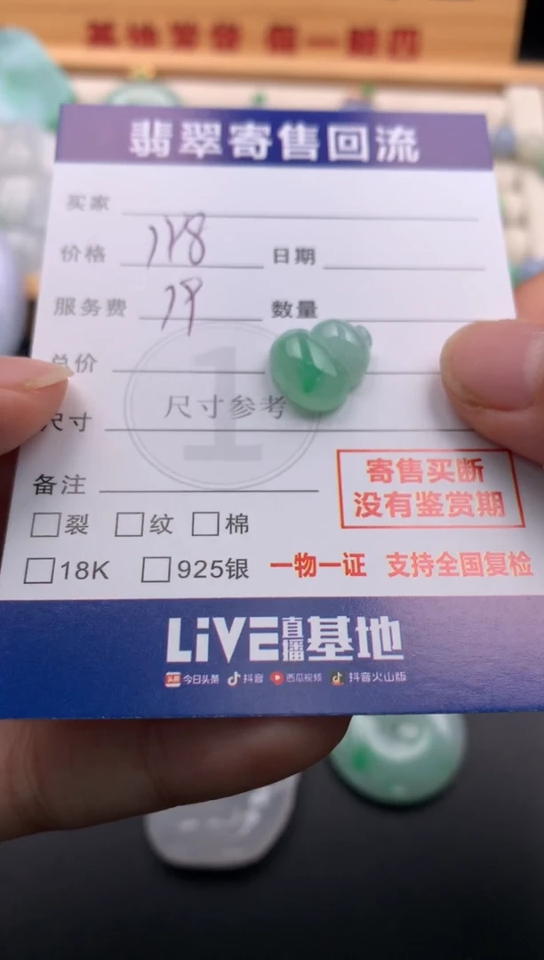 颈饰未镶嵌翡翠10145888
