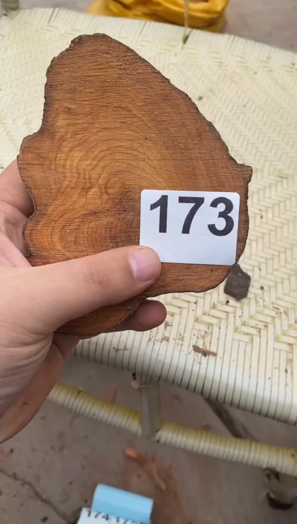 柏木（崖柏）太行陈化崖柏切片一块173