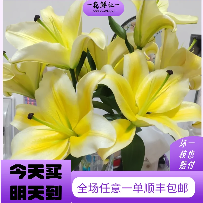 花鲜祉【黄百合金尊香水百合】全场任意一单顺丰包邮次日达