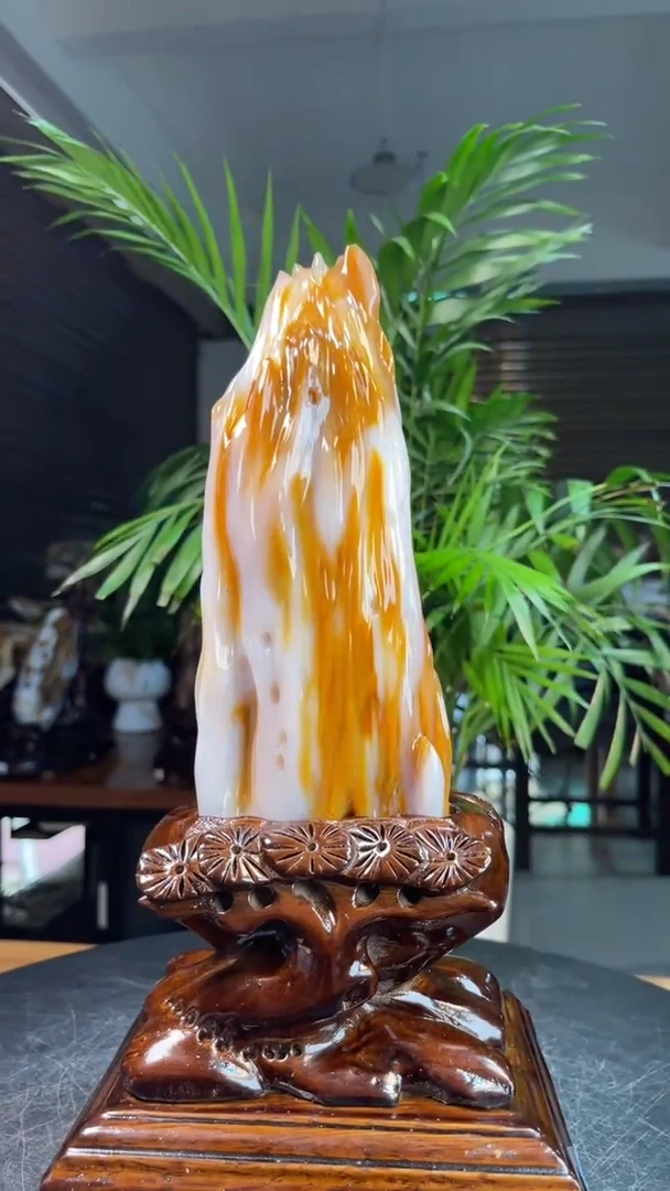 未镶嵌硅化玉（树化玉）珠宝奇石独*2615