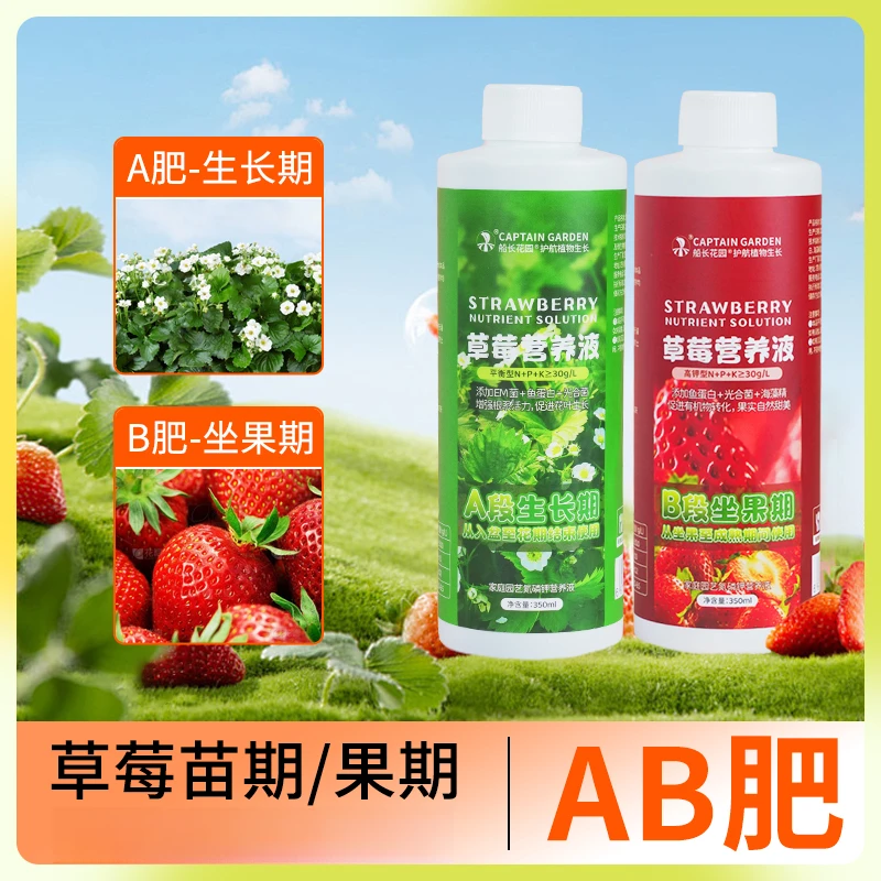草莓专用营养液肥料船长花园盆栽肥料水溶肥料家用种瓜果