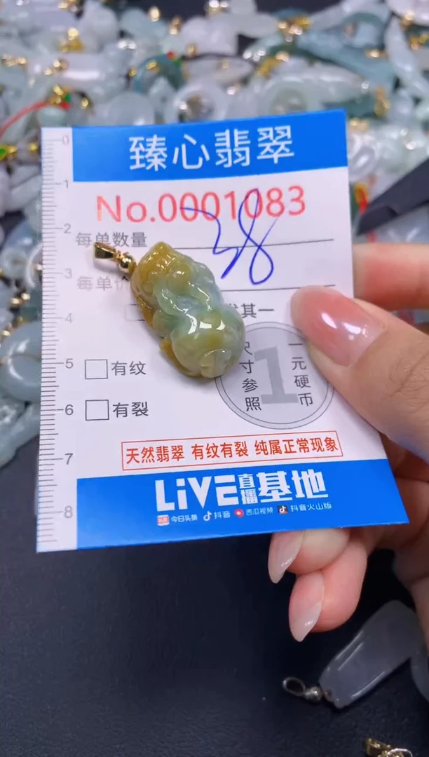 颈饰未镶嵌翡翠1083