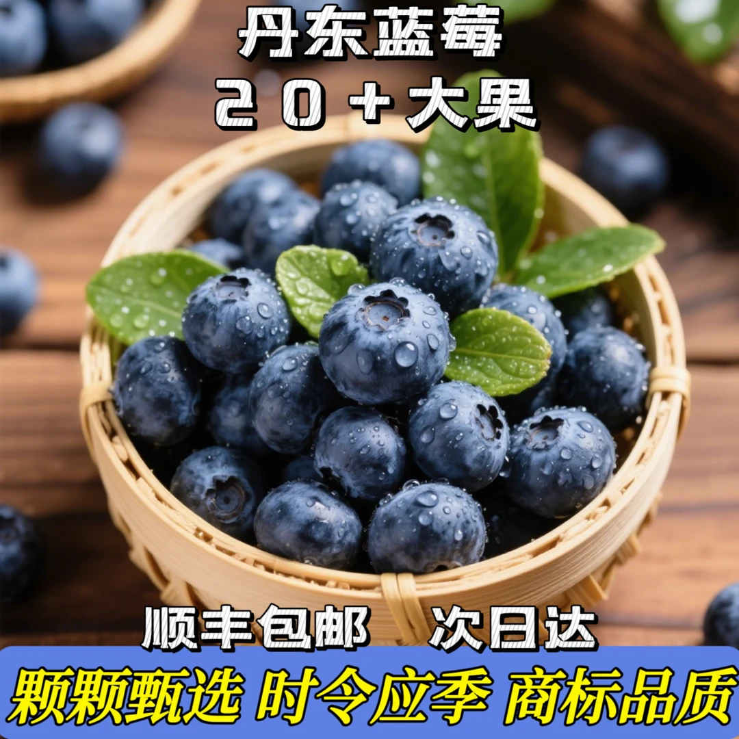 【顺丰包邮】1盒 丹东巨无霸蓝莓20mm+ 新鲜应季【带盒1斤】辽宁省