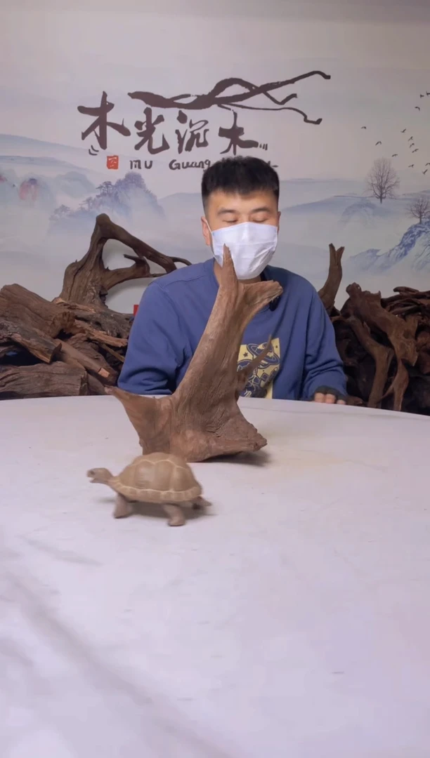 【闪购商品】a334木光沉木木光沉木