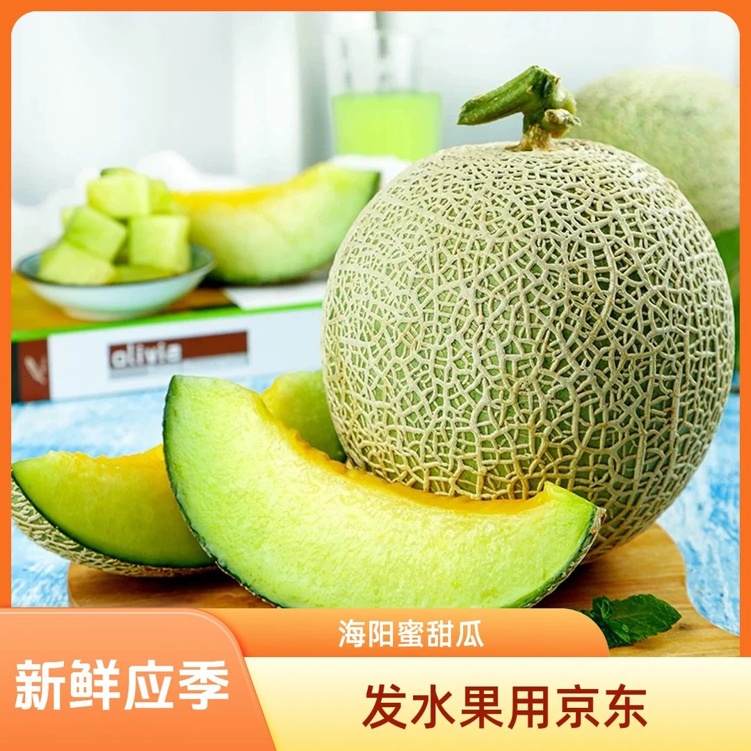 【京东物流】蜜甜海阳网纹瓜风味浓郁香甜新鲜应季