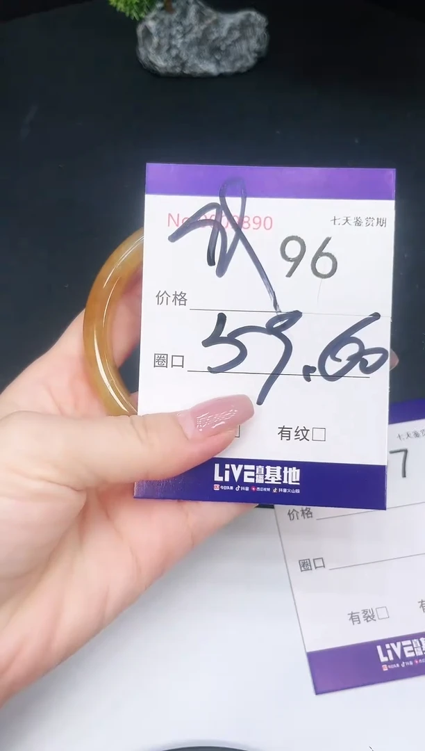 未镶嵌手镯翡翠96