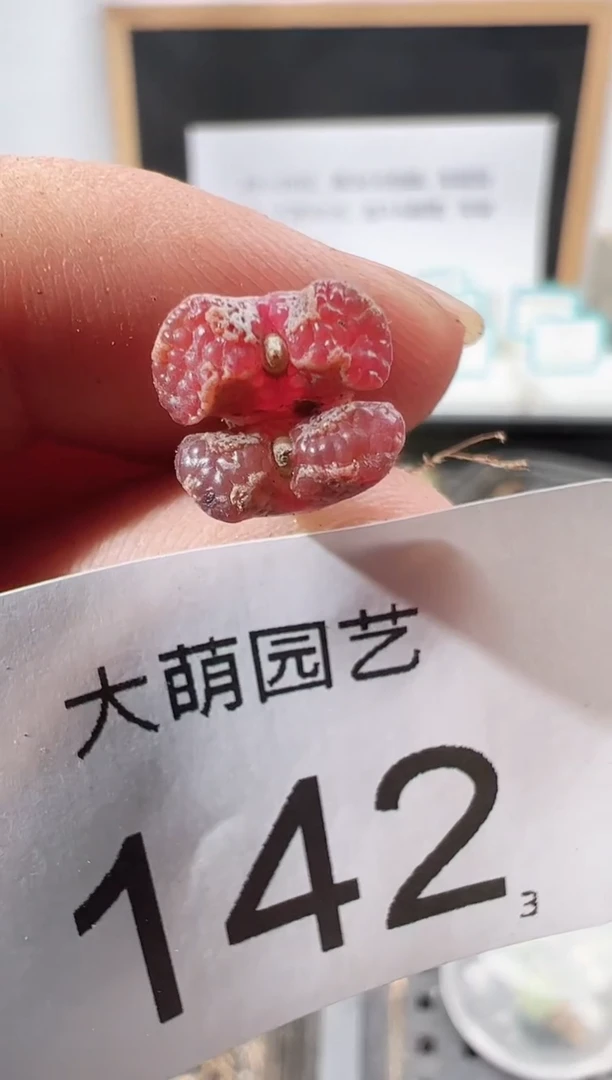 【闪购商品】+++++142