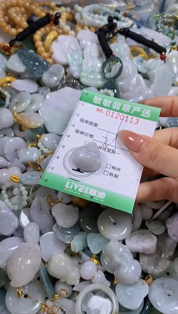 【闪购商品】翡翠颈饰未镶嵌闪购0120113