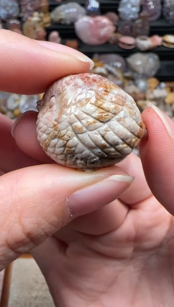 颈饰未镶嵌硅化珊瑚（珊瑚玉）772