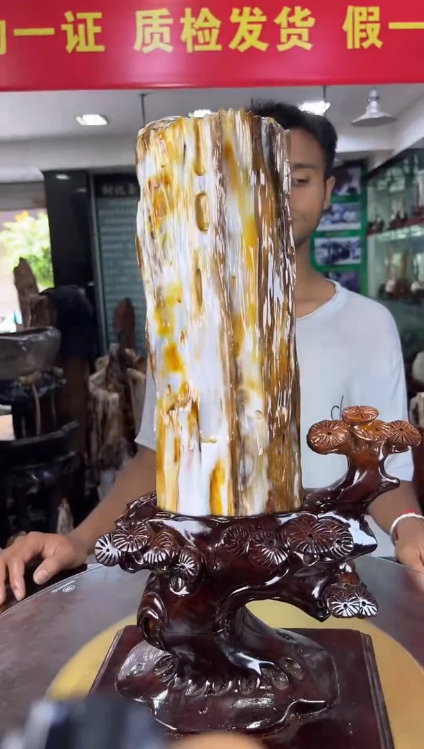 未镶嵌珠宝奇石硅化玉缅甸天然树化玉摆件