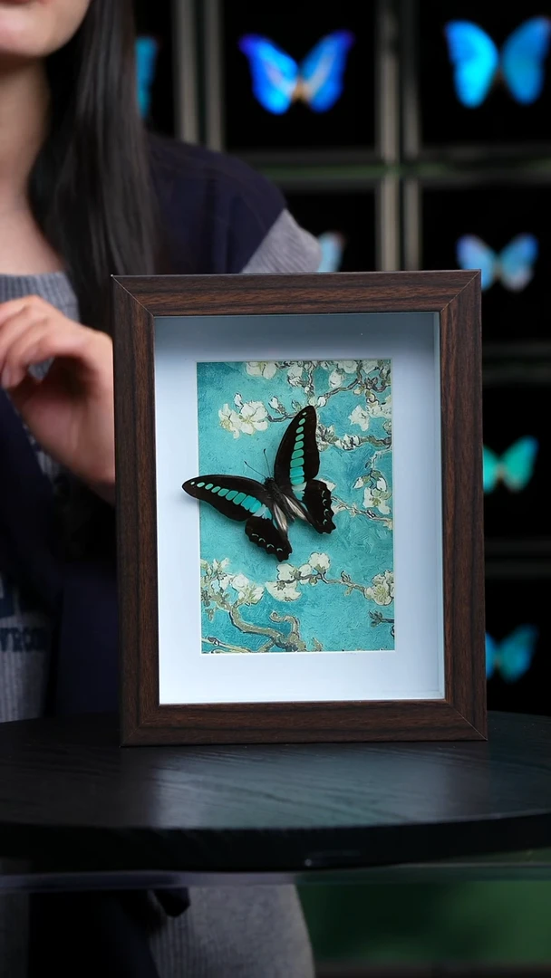 青凤蝶8寸复古框腊梅款