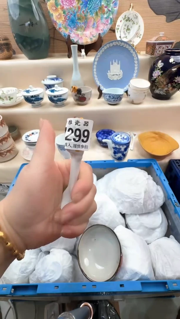 瓷片暖*         h299