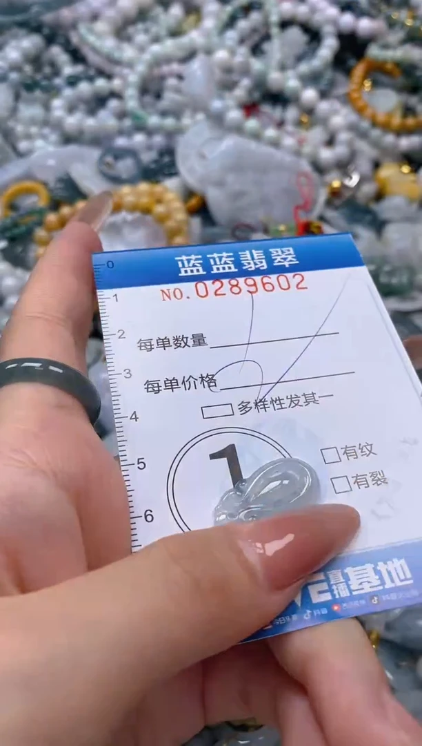 翡翠未镶嵌颈饰闪购0289602