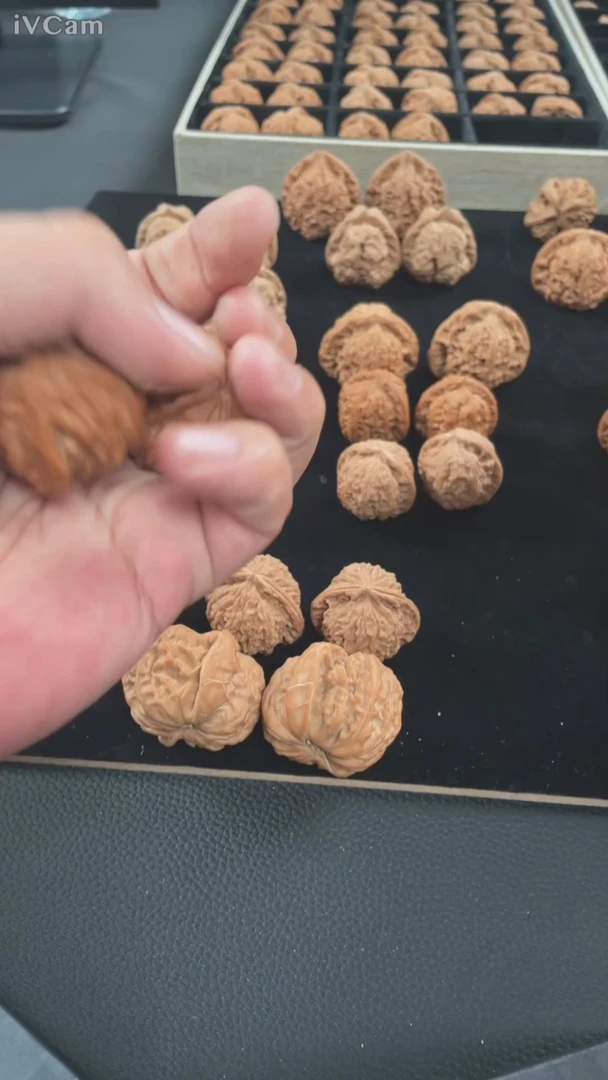 手串/手链核桃白狮子8888888888888888888