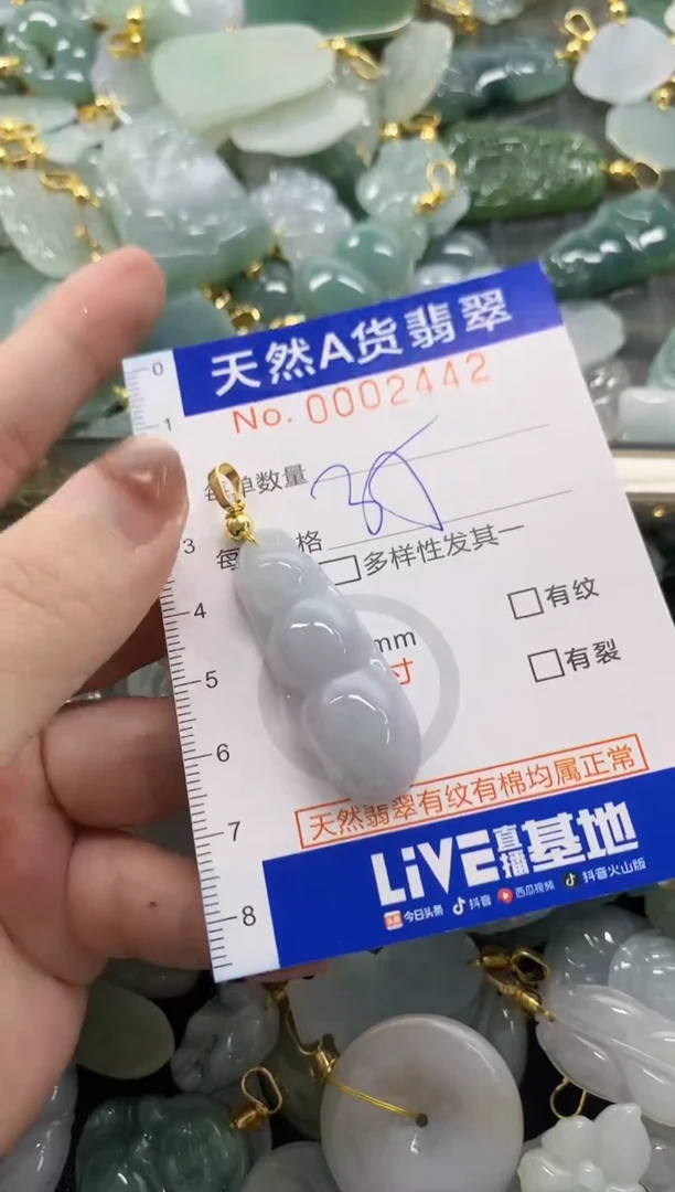 颈饰未镶嵌翡翠天然A货翡翠