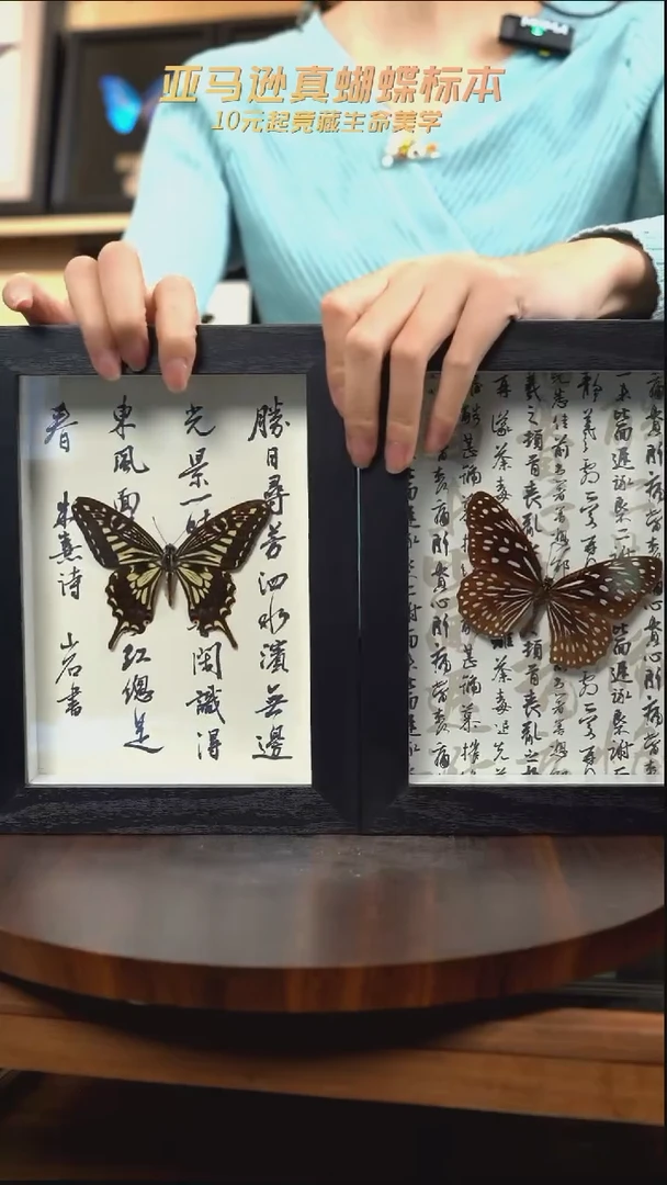柑橘凤蝶7寸书法版+青斑蝶7寸书法版