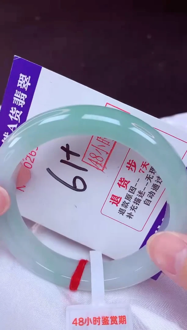 未镶嵌手镯翡翠 61（48小时鉴赏期 ）