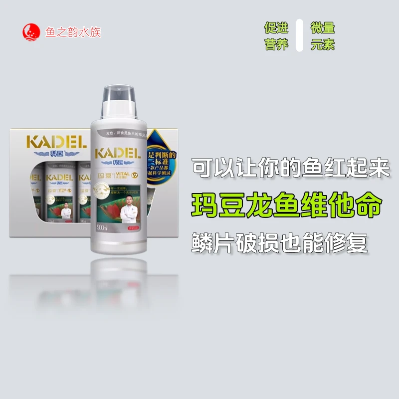 玛豆V7龙鱼维他命增色促修复强体质益生菌龙鱼营养补充液