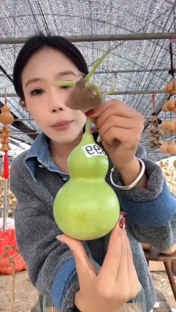 899天然葫芦摆件 一物一拍龙头不保售后