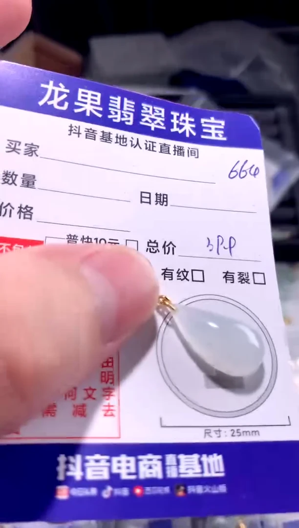 颈饰未镶嵌翡翠水滴664