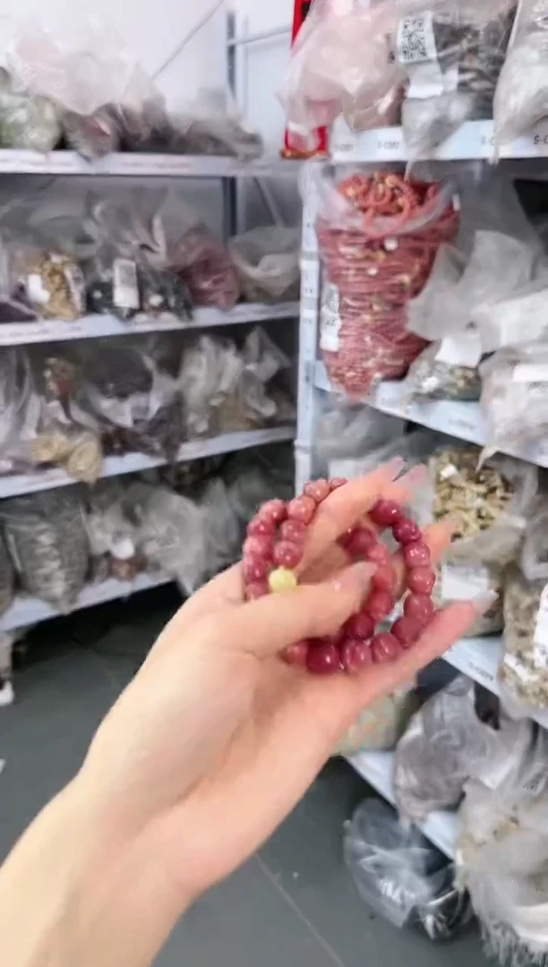 【闪购商品】菩提根/象牙果手串S-C130280