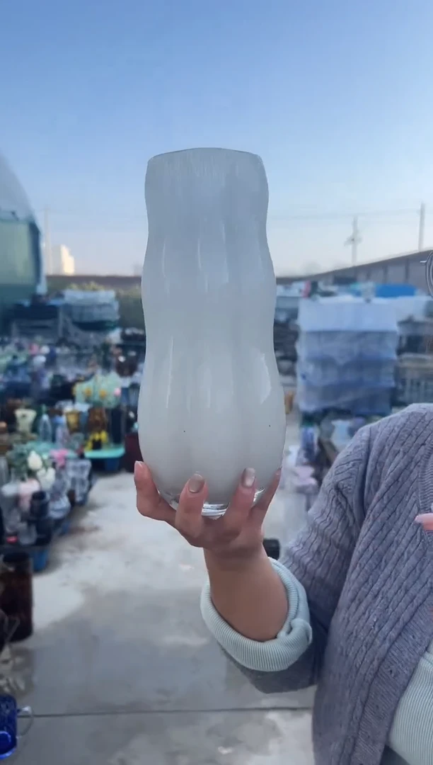 花瓶客厅餐桌插花装饰好物小
