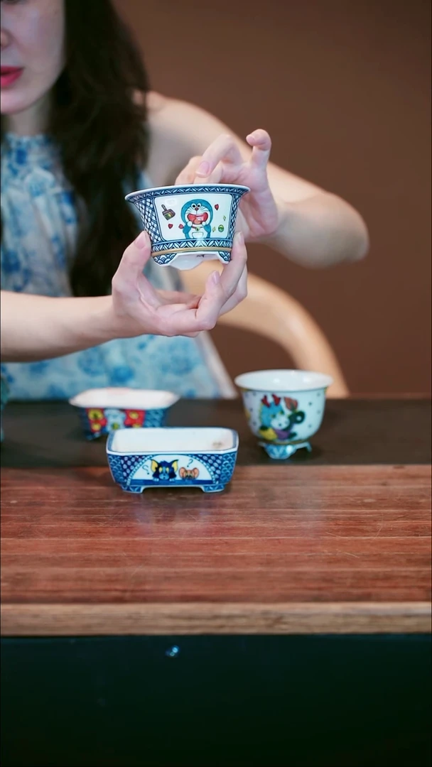 无花朵叮当猫盆景盆景盆景