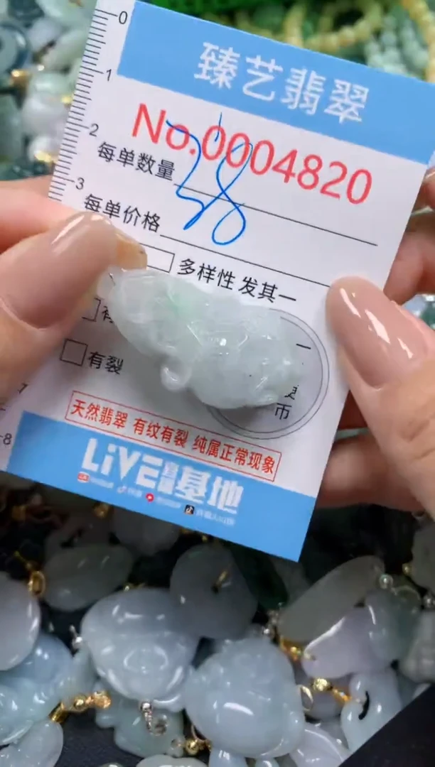 颈饰未镶嵌翡翠4820