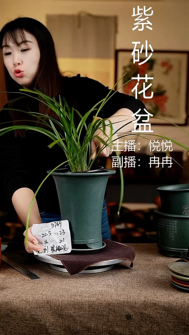 紫砂花盆花卉工艺5769+z果绿