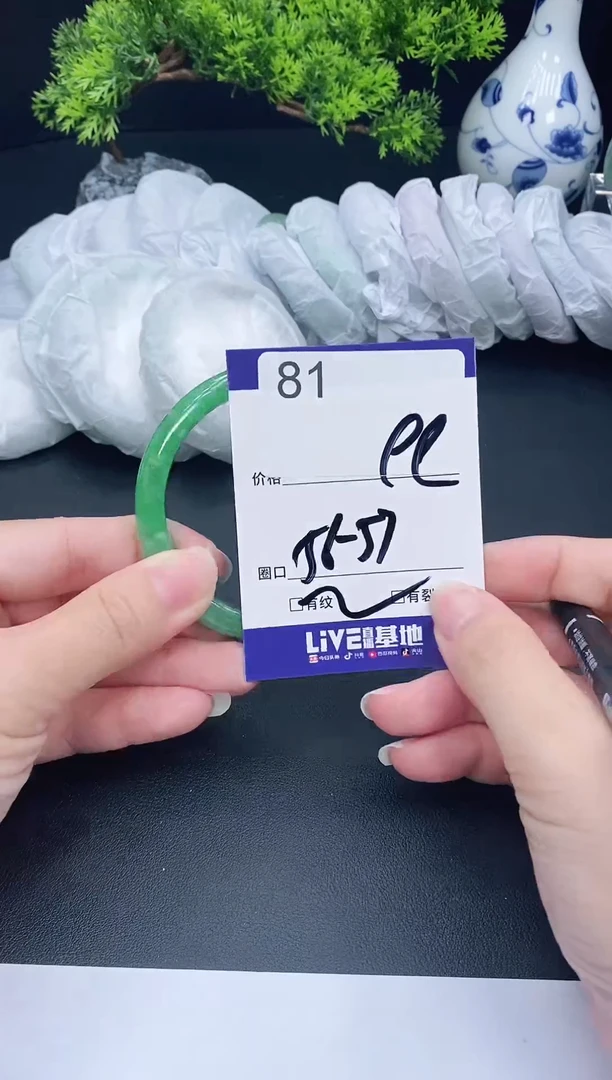 未镶嵌手镯翡翠81