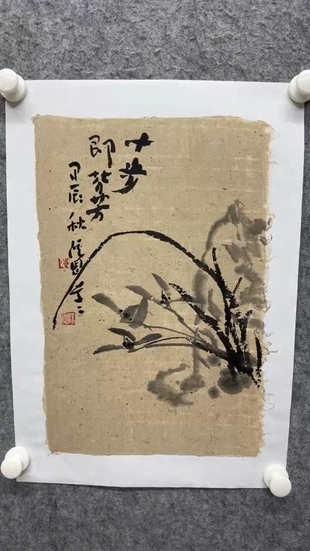 国画写意画花鸟画手绘
