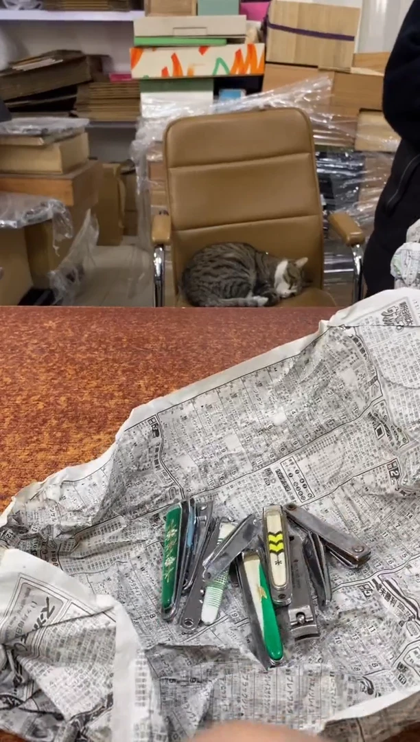 瓷片716小林轩欢迎您