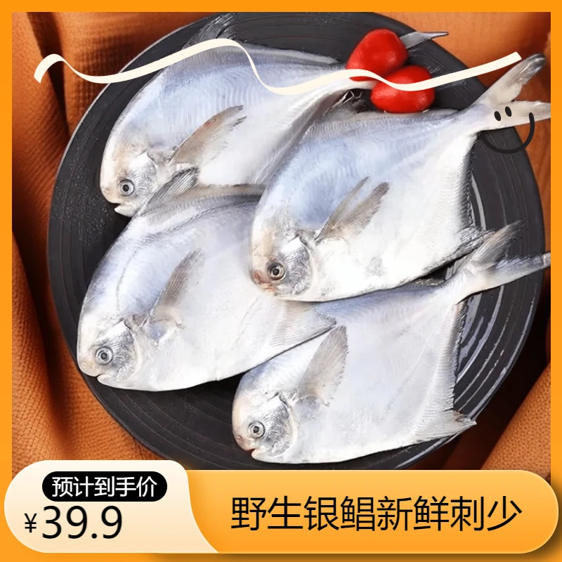刚靠岸野生小银鲳鱼新鲜急冻发货刺少肉嫩顺丰包邮