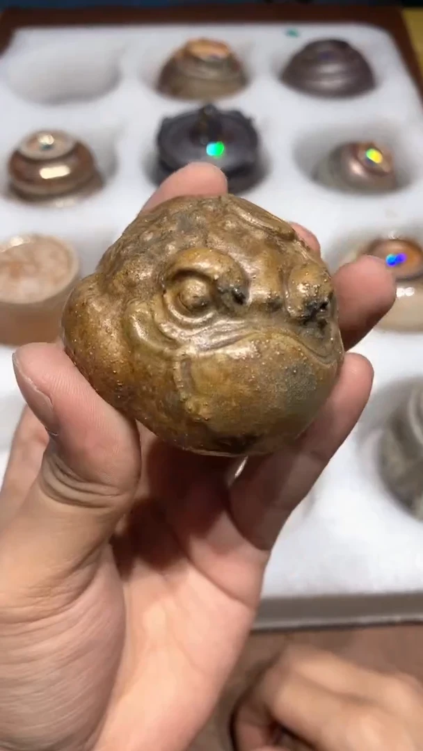 奢瓷/瑞寅柴烧茶器（茶宠）881