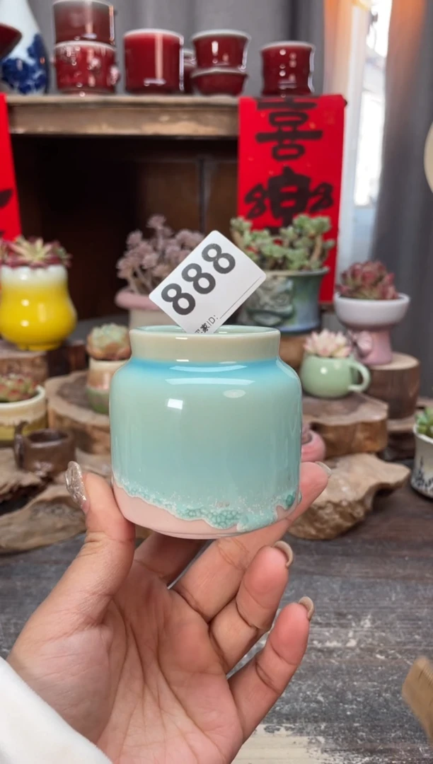 【闪购商品】摆件888知木小芳花盆